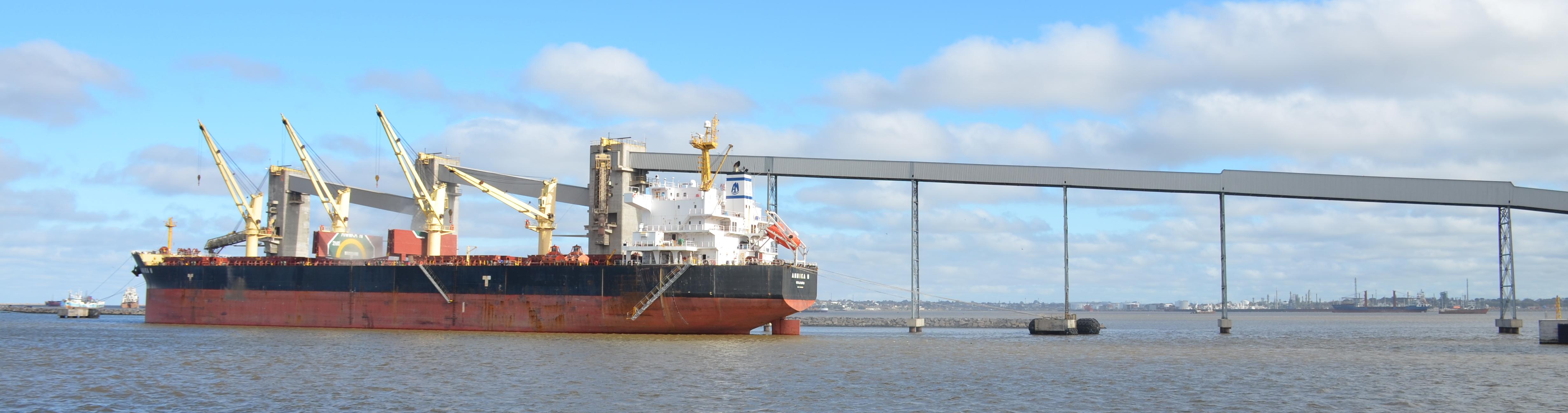 Texto alternativo...