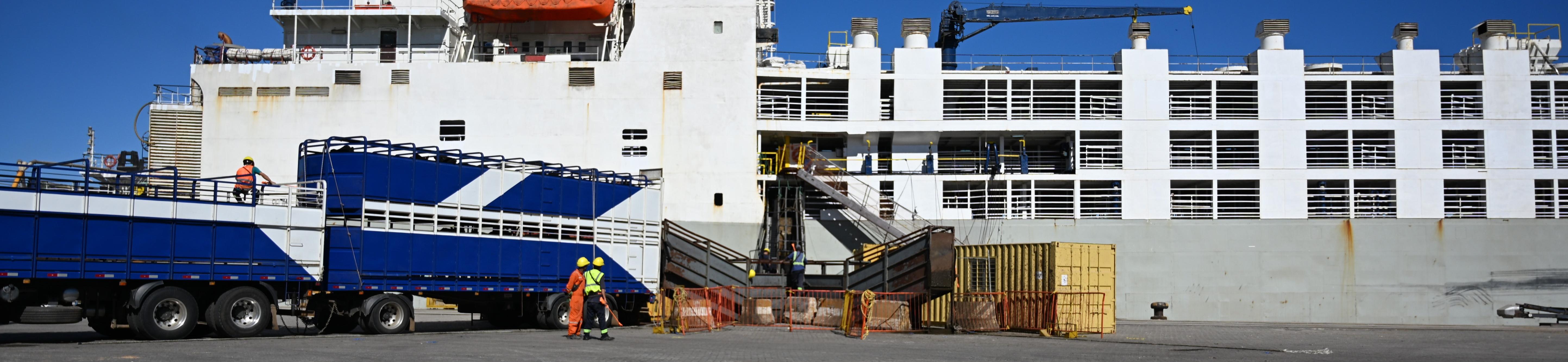 buque ganadero GULF LIVESTOCK 2  