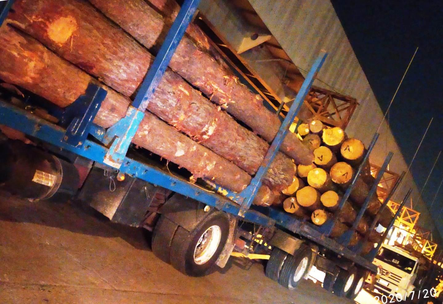 Continúa la exportación de madera a China desde Fray Bentos.