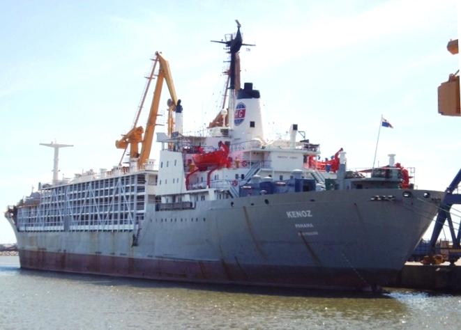 Desde el muelle: Kenoz.