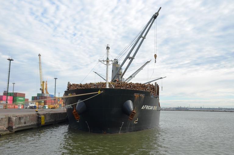 Desde el muelle: African Dove.
