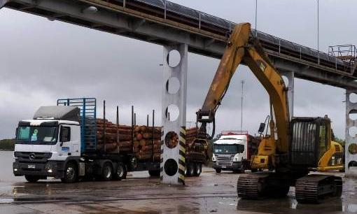 Puerto de Fray Bentos: 36000 toneladas de rolos de pino a China.