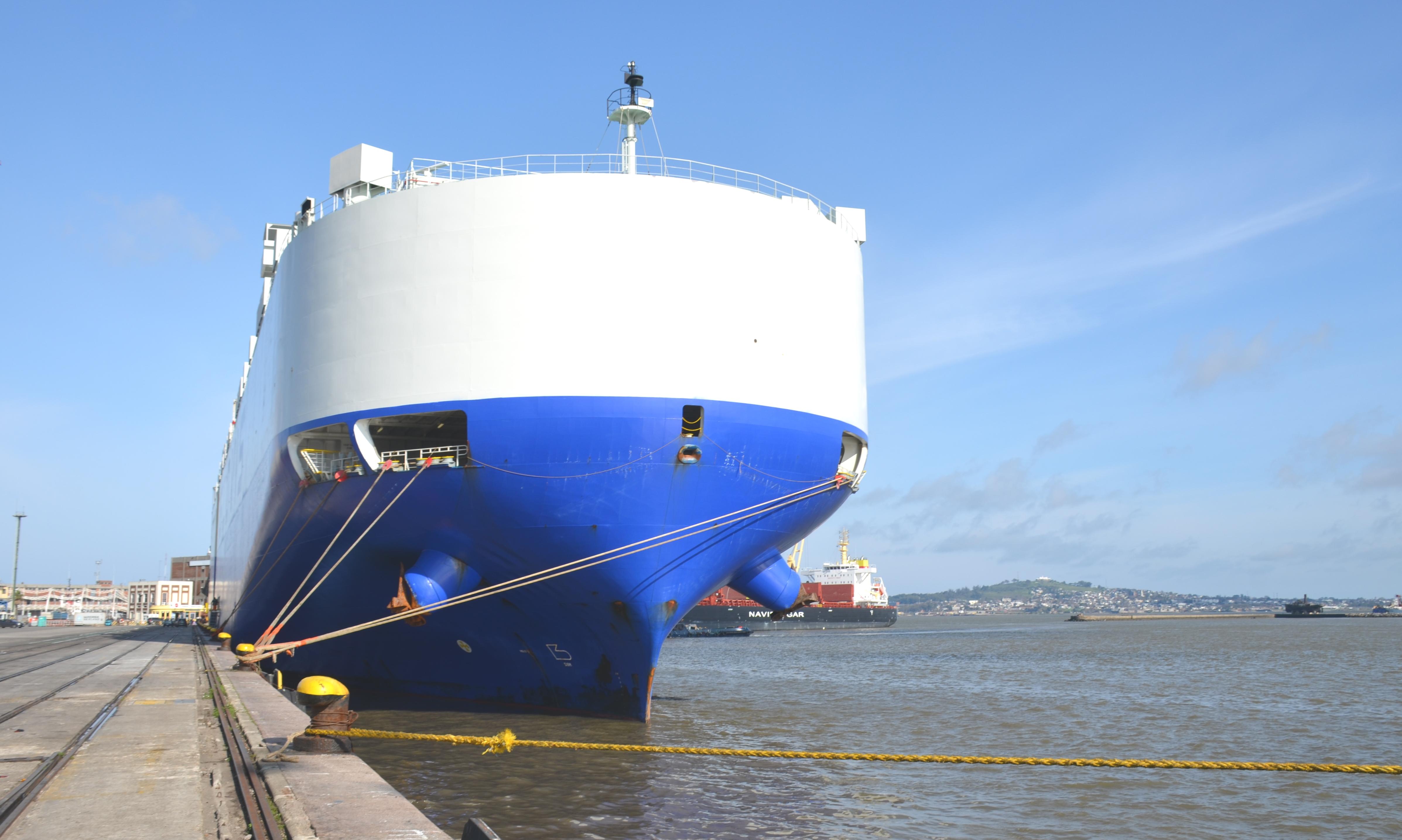 "Glovis Champion" en el puerto de Montevideo.