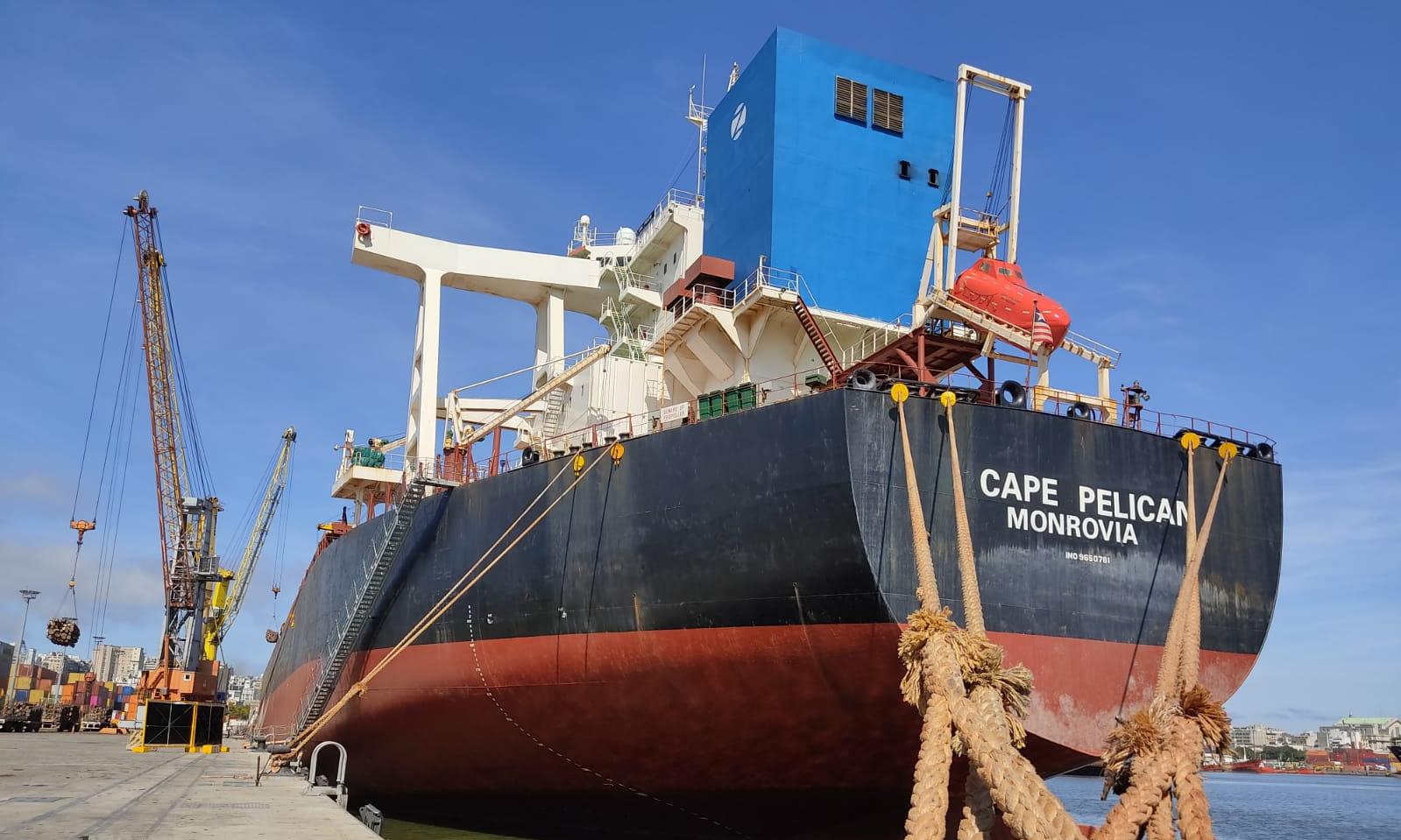 Cape Pelican en Montevideo