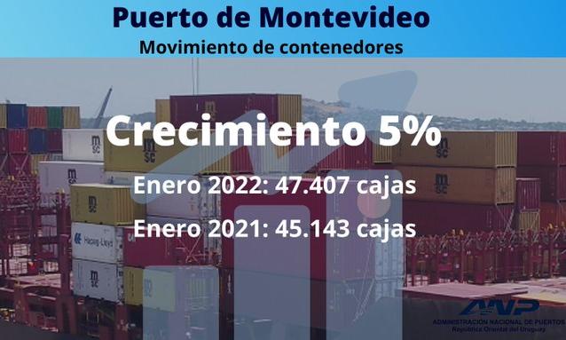 crecimiento 5%
