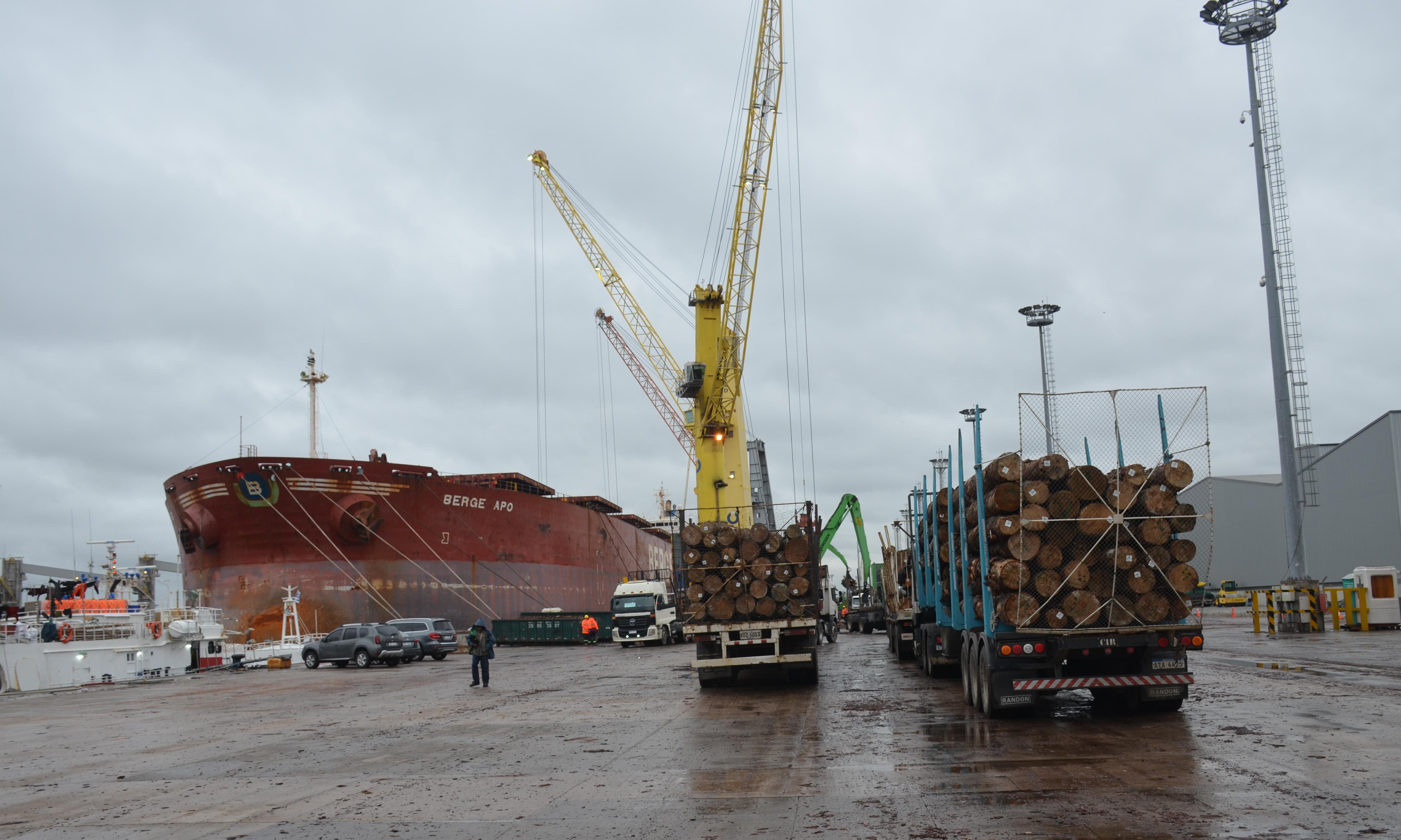 Berge Apo en muros montevideanos.