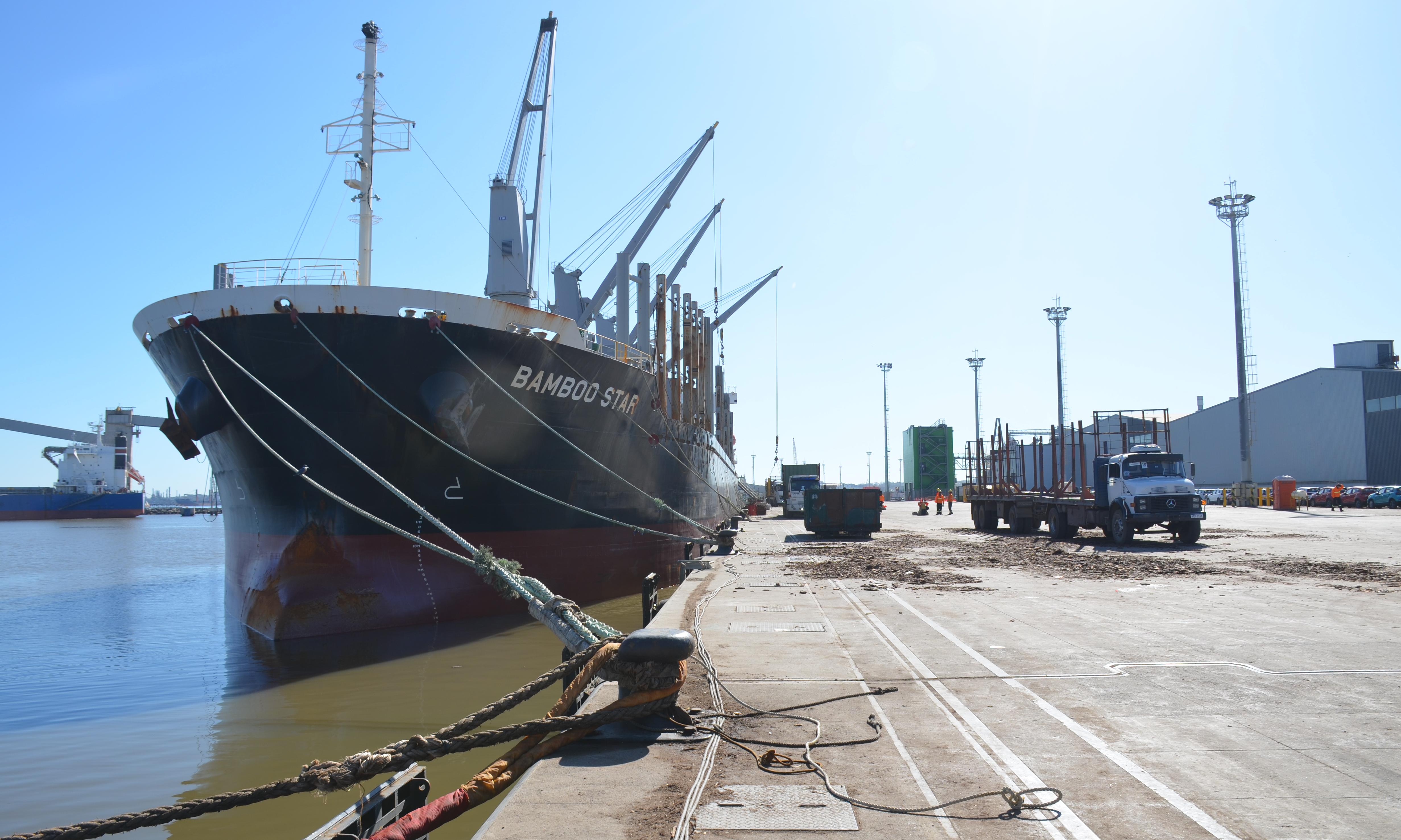 Bamboo Star carga troncos en muelle C