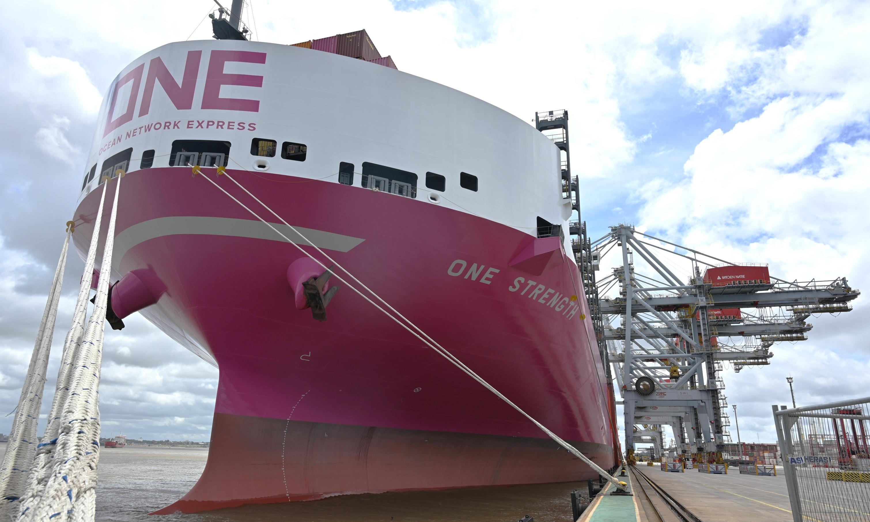 barco portacontenedores de color rosa en el muelle de la terminal cuenca del plata